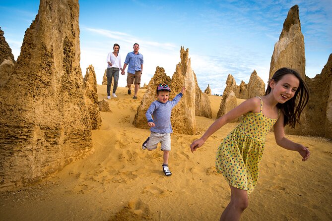 Luxury Pinnacles Tour- Private Chauffeur-Tailored Schedule - Price and value: what $322.76 per person buys you