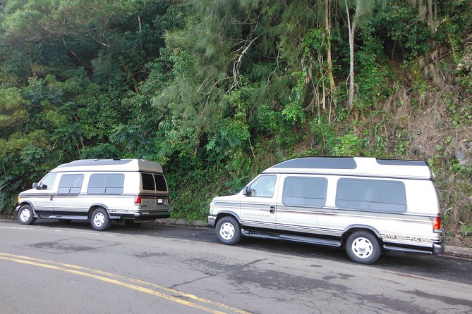Maui: Road to Hana Luxury Limo-Van Tour with Helicopter Flight - Helicopter return on the Eco-Star: Haleakala Crater and coastline from above