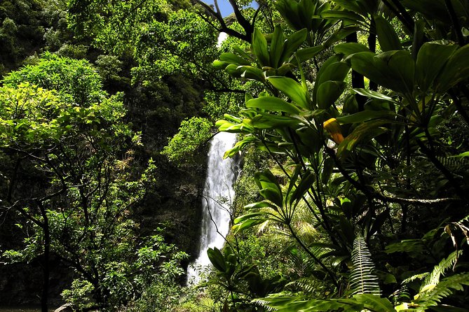 Maui: Road to Hana Luxury Limo-Van Tour with Helicopter Flight - The real value of $599: what you’re bundling and why it makes sense