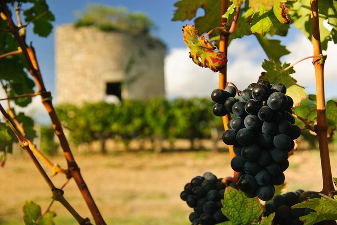 Médoc luxury wine tour aboard a Citroën DS Limousine Convertible - Key Things I’d Prioritize Before Booking