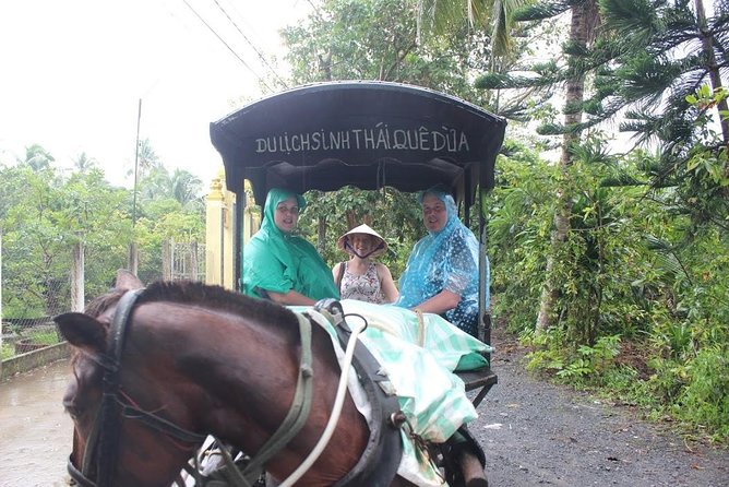 Mekong Delta Adventure by Private Car from Phu My Port - From Phu My Port to the Delta by Private Car