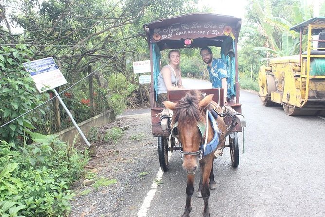 Mekong Delta Adventure by Private Car from Phu My Port - Guide impact: why TyphoonHoney and Loong keep showing up