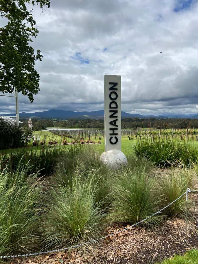 Melbourne: Yarra Valley Wineries Private Day Tour - The route: Yering Station, Rochford, chocolate lunch, TarraWarra, Chandon