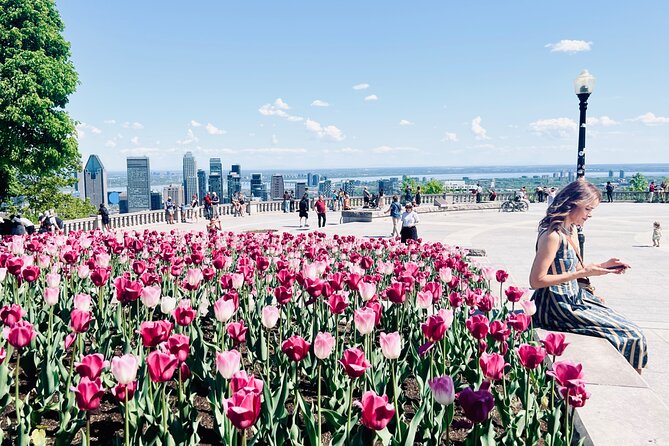 Montreal: 3-Hour Private Car Tour with Expert & Free Pick up - A Private Car Tour That Makes Montreal Feel Manageable