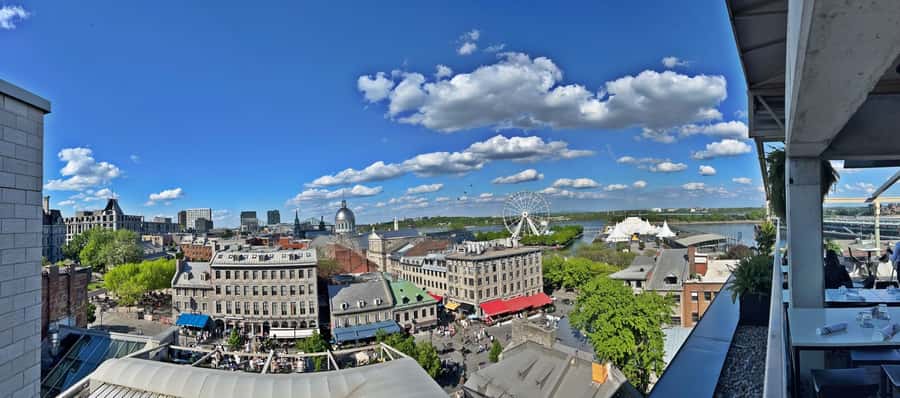 Montreal 3-Hour Private Car Tour with Expert Local Guide - Notre-Dame Basilica and Old Montréal squares you can recognize later