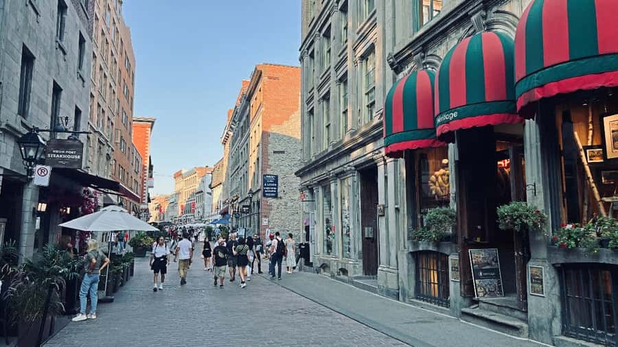 Montreal 3-Hour Private Car Tour with Expert Local Guide - Saint Joseph’s Oratory and the calm pause you didn’t know you needed