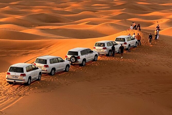 Morning Safari (Private Car) - Key highlights