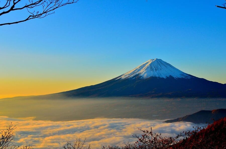 Mount Fuji - Private Tour with English Speaking Chauffeur - Oishi Park and Lake Kawaguchiko: lavender timing and calmer views