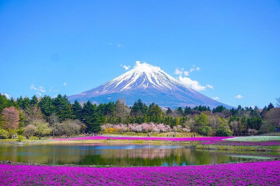 Mount Fuji - Private Tour with English Speaking Chauffeur - Pricing and value: when $967 per group feels fair