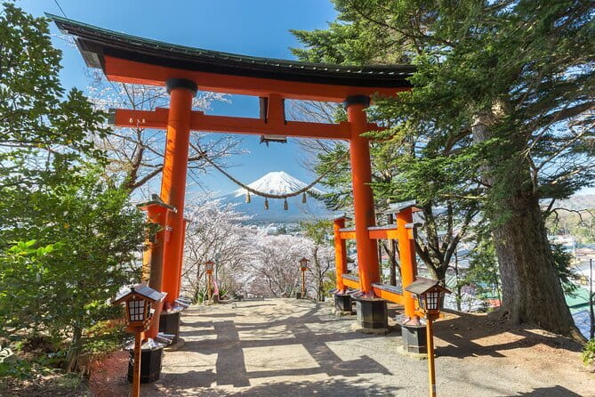 Mount Fuji Sightseeing Private tour w English speaking chauffeur - Morning Pickup, 8:00 AM Start, and How the Day Moves (8–10 Hours)
