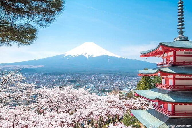 Mount Fuji Sightseeing Private tour w English speaking chauffeur - Chureito Pagoda View at Arakura Fuji Sengen Shrine