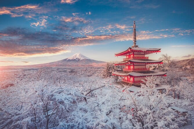 Mount Fuji Sightseeing Private tour w English speaking chauffeur - Narusawa Ice Cave: Lava History Under Aokigahara Forest