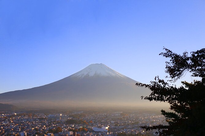 Mt. Fuji and Lake Kawaguchi Day Trip with Private Car - Saiko Iyashi no Sato Nenba: reconstructed village and easy cultural shopping