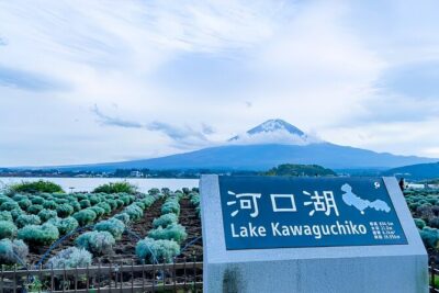 Mt FUJI Day Tour with Private Car and English Speaking Guide - Price and Value: $440 for a Private Day Makes Sense If You Use It Right