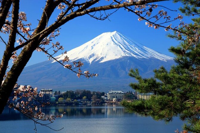 Mt.Fuji Hakone Private Tour with English Speaking Chauffeur - Key highlights you’ll feel in the day