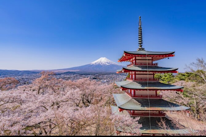Mt.Fuji Hakone Private Tour with English Speaking Chauffeur - From Tokyo to Fuji viewpoints: how the chauffeur plan actually helps