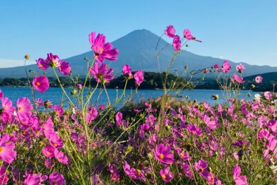 Mt.Fuji Hakone Private Tour with English Speaking Chauffeur - Chureito Pagoda in Arakurayama Sengen Park: iconic view, real stair effort