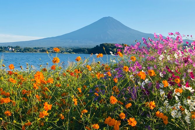 Mt.Fuji Hakone Private Tour with English Speaking Chauffeur - Saiko Lake and Saiko Iyashi no Sato Nemba: a calmer finish with extra admission