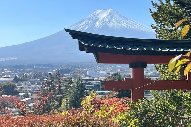 Mt.Fuji Hakone Private Tour with English Speaking Chauffeur - Timing, weather, and your photo odds: how to get the best day