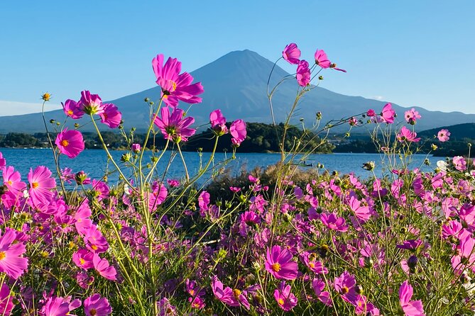 Mt.Fuji Hakone Private Tour with English Speaking Chauffeur - Chureito Pagoda in Arakurayama Sengen Park: iconic view, real stair effort