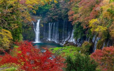 Mt Fuji : Private 10-Hour Luxury Tour by Exclusive Car - Mt. Fuji visibility: fog, timing, and why it’s never guaranteed