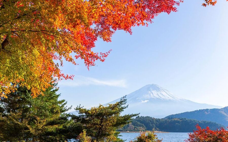 Mt Fuji : Private 10-Hour Luxury Tour by Exclusive Car - Chureito Pagoda: how to get that framed-Fuji picture