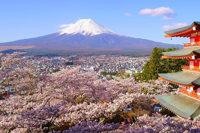 Mt. Fuji Private Car Tour from Tokyo - Why a private Mt. Fuji day beats the usual rush