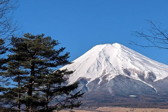 Mt. Fuji Private Car Tour from Tokyo - Arakura Fuji Sengen Shrine: 398 steps, big payoff