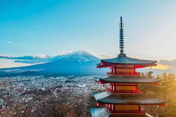 Mt. Fuji Private Car Tour from Tokyo - Lake Kawaguchi views: Oishi Hana Terrace for strolling and Saiko for calm