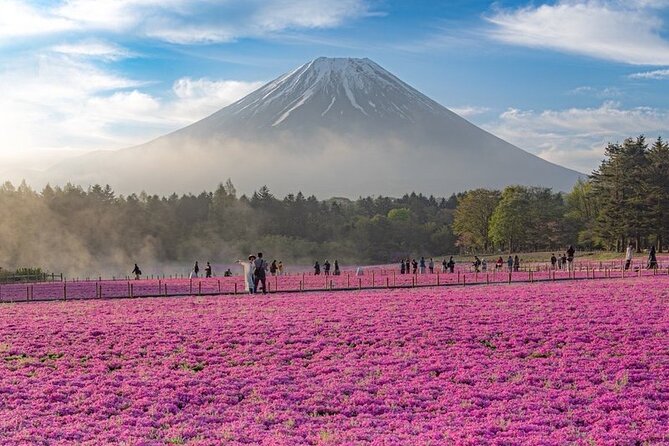 Mt Fuji Tour with Japanese Local Guide on Private Car from Tokyo - Getting to the Fuji Five Lakes region without wasting your morning