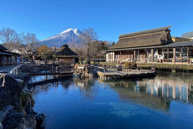 Mt Fuji Tour with Japanese Local Guide on Private Car from Tokyo - Mt Fuji 5th Station at 2,300 meters: when you want the high-level view