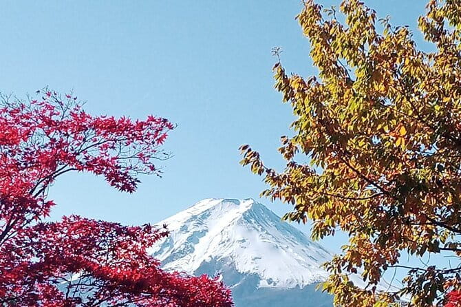 Muslim Friendly Mount Fuji Tour with English Speaking Guide - The 10-hour rhythm from Tokyo: how the travel time shapes your day