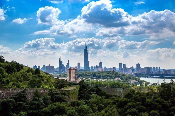 Nanjing Self-Guided Day Tour with Private Car and Driver Service - Price and value for 7–8 hours of chauffeured transfers