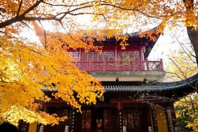 Nanjing Self-Guided Day Tour with Private Car and Driver Service - Stop 1: Dr. Sun Yat-sen’s Mausoleum—what to expect from this first hit