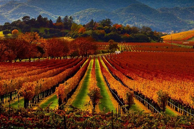 Napa - Sonoma Limo up to 9 passengers - The Chauffeured Mercedes Sprinter Van for Up to 9
