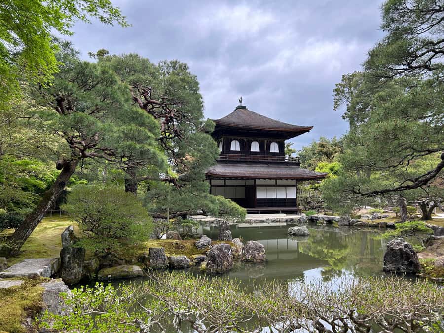 Nara Optional:Kyoto Private Car Tour with Japanese Navigator - Arashiyama Timing: Bamboo Scenery and a Real Break