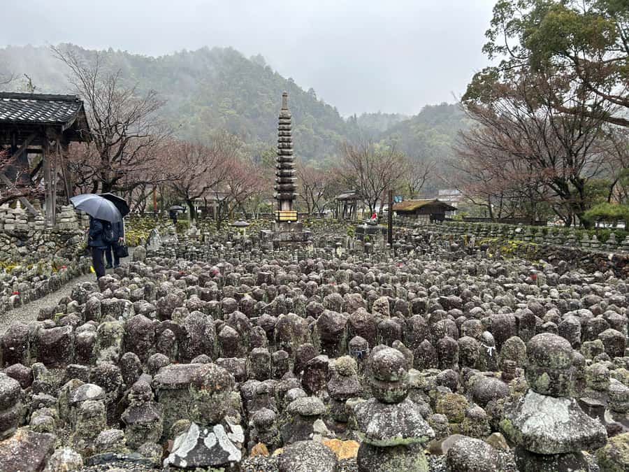 Nara Optional:Kyoto Private Car Tour with Japanese Navigator - Fushimi Inari Taisha: How to Enjoy the Climb Without Rushing