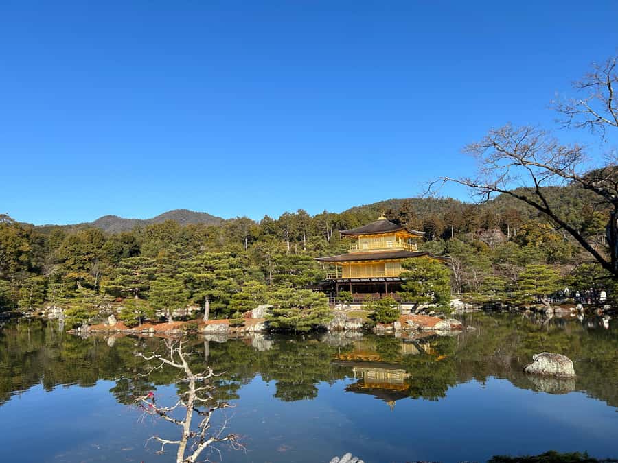 Nara Optional:Kyoto Private Car Tour with Japanese Navigator - Price and Logistics: What You’re Paying For