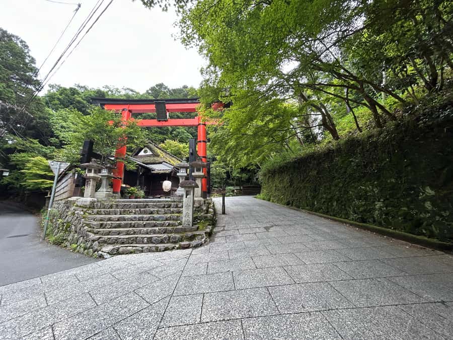 Nara Optional:Kyoto Private Car Tour with Japanese Navigator - What to Bring (and What to Skip)