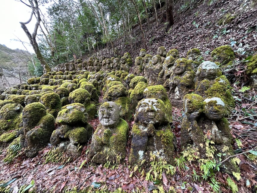 Nara Optional:Kyoto Private Car Tour with Japanese Navigator - Wheelchair and Accessibility: A Real Plus