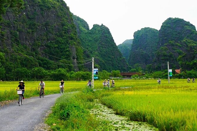 Ninh Binh Day Tour Tam Coc Mua Cave Hoa Lu Buffet Lunch Limousine - Price and Value: Why $45 Can Work (or Not)