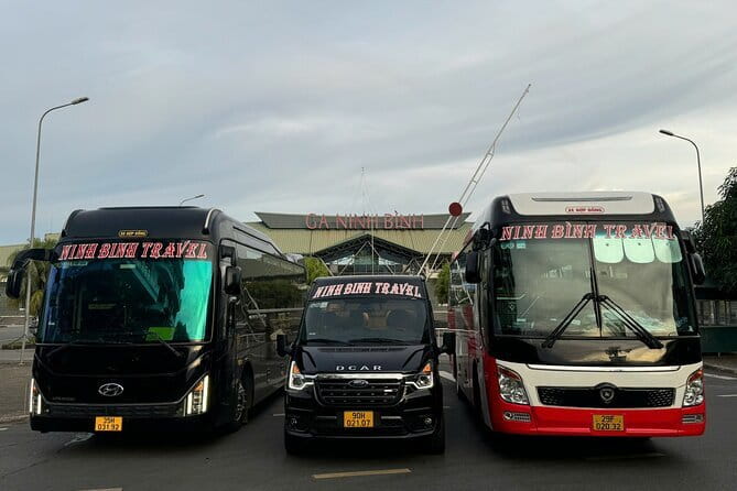Ninh Binh to Cat Ba Luxury Transportation with D-Class Limousine - Key things I’d highlight before you book