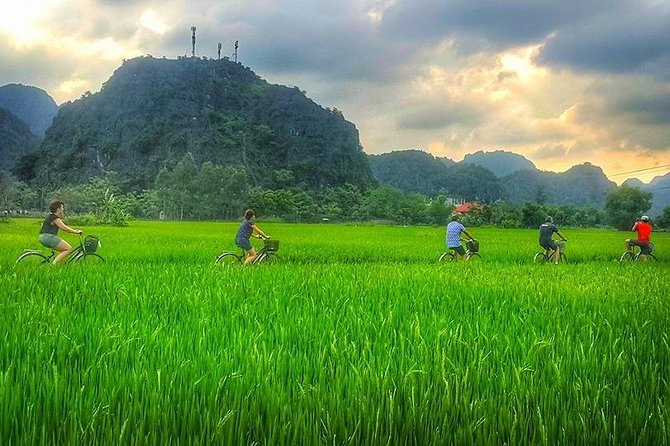 Ninh Binh Tour Bai Dinh Trang An Mua Cave Small Group Limousine - Mua Cave: stairs, payoff, and what to wear