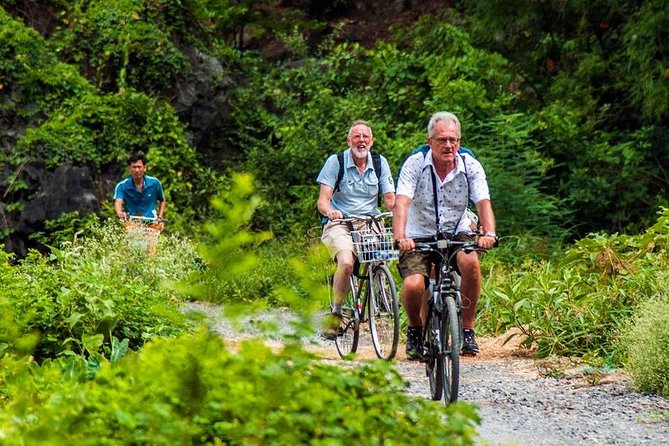 Ninh Binh Tour Hoa Lu Tam Coc Full Day: Biking,Boating,Tickets,Lunch, Limousine - Tam Cốc-Bích Động by Rowboat: Hang Ca, Hang Hai, Hang Ba