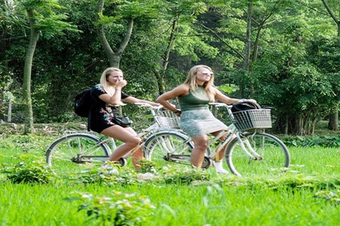 Ninh Binh Tour Hoa Lu Tam Coc Full Day: Biking,Boating,Tickets,Lunch, Limousine - Cycling Through Villages: Short Ride, Scenic Payoff