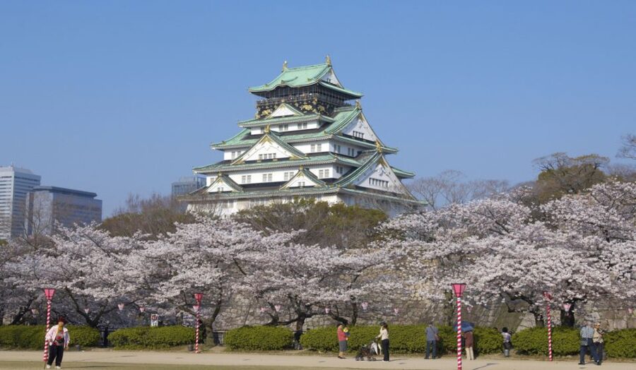 Osaka: Customizable Full-Day Tour with Private Transfer - Why a Private Osaka Day Feels So Much Easier