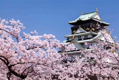 Osaka: Customizable Full-Day Tour with Private Transfer - Price and What $459 Covers (and What It Doesn’t)