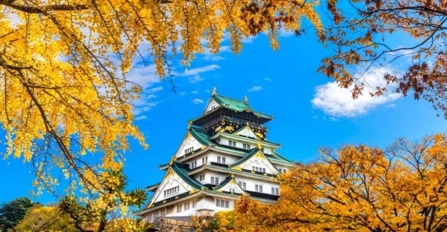 Osaka: Customizable Full-Day Tour with Private Transfer - Kuromon Ichiba Market: A Snack-First Hour You Control