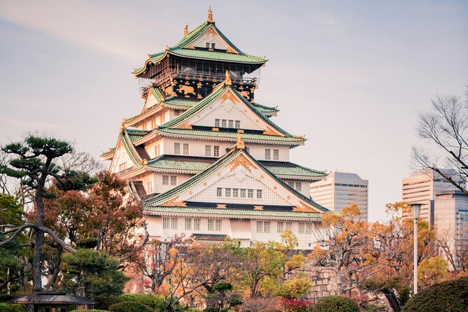 Osaka Private Hightlights Tour Customizable & English Driver - Key highlights you’ll care about