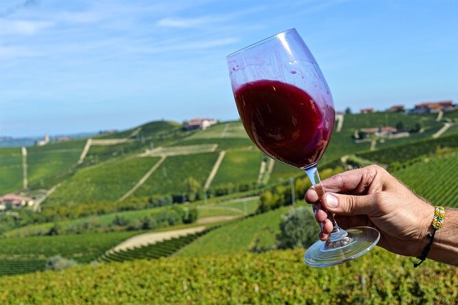 Piemonte Vineyards by Yourself from Turin - Business Car with English Chauffeur - Key things that make this day work